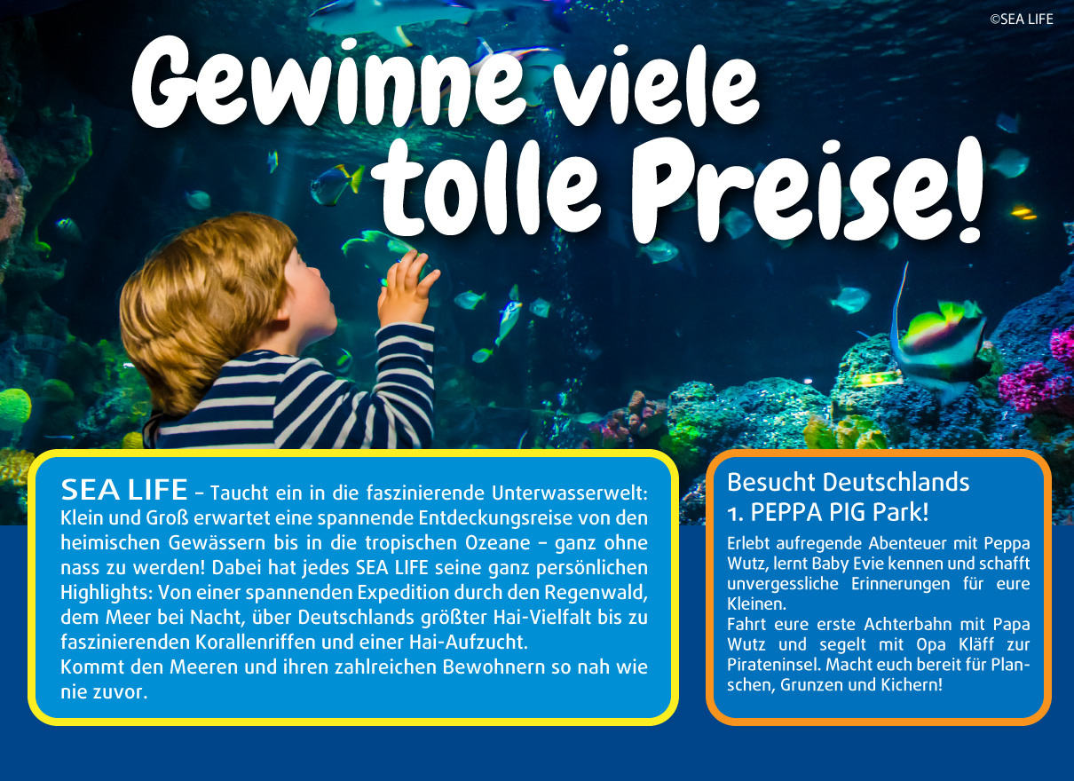 die Gewinne unter allen Einsendern