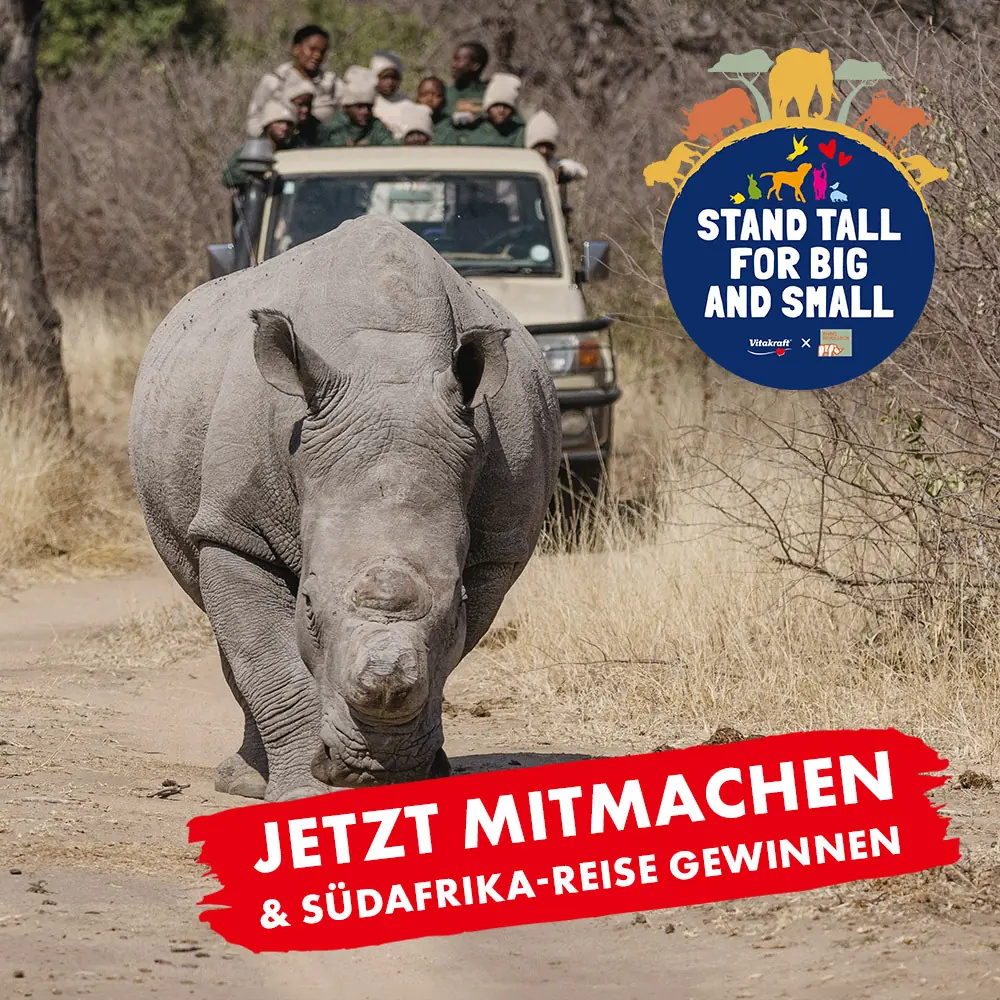 Eine von fünf 12-tägigen Südafrika-Rundreisen für zwei Personen und erlebt das Land von seiner wildesten und schönsten Seite