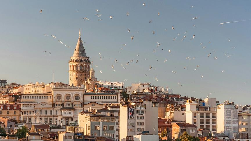 das Kochbuch „Türkei vegetarisch“